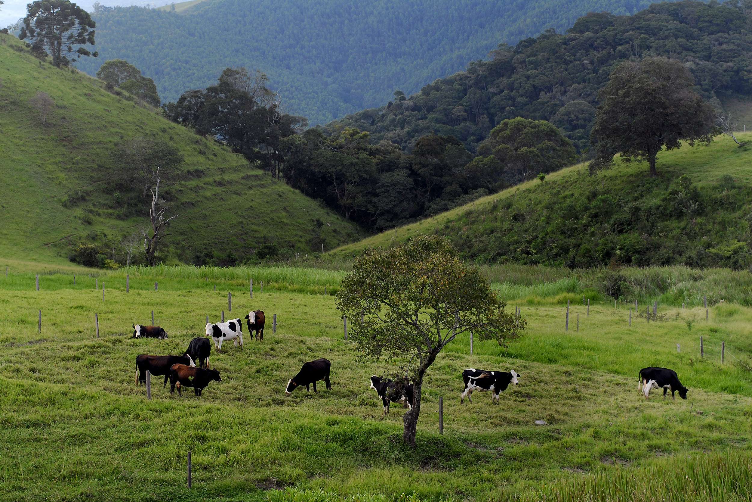 sistemas agropecuarios