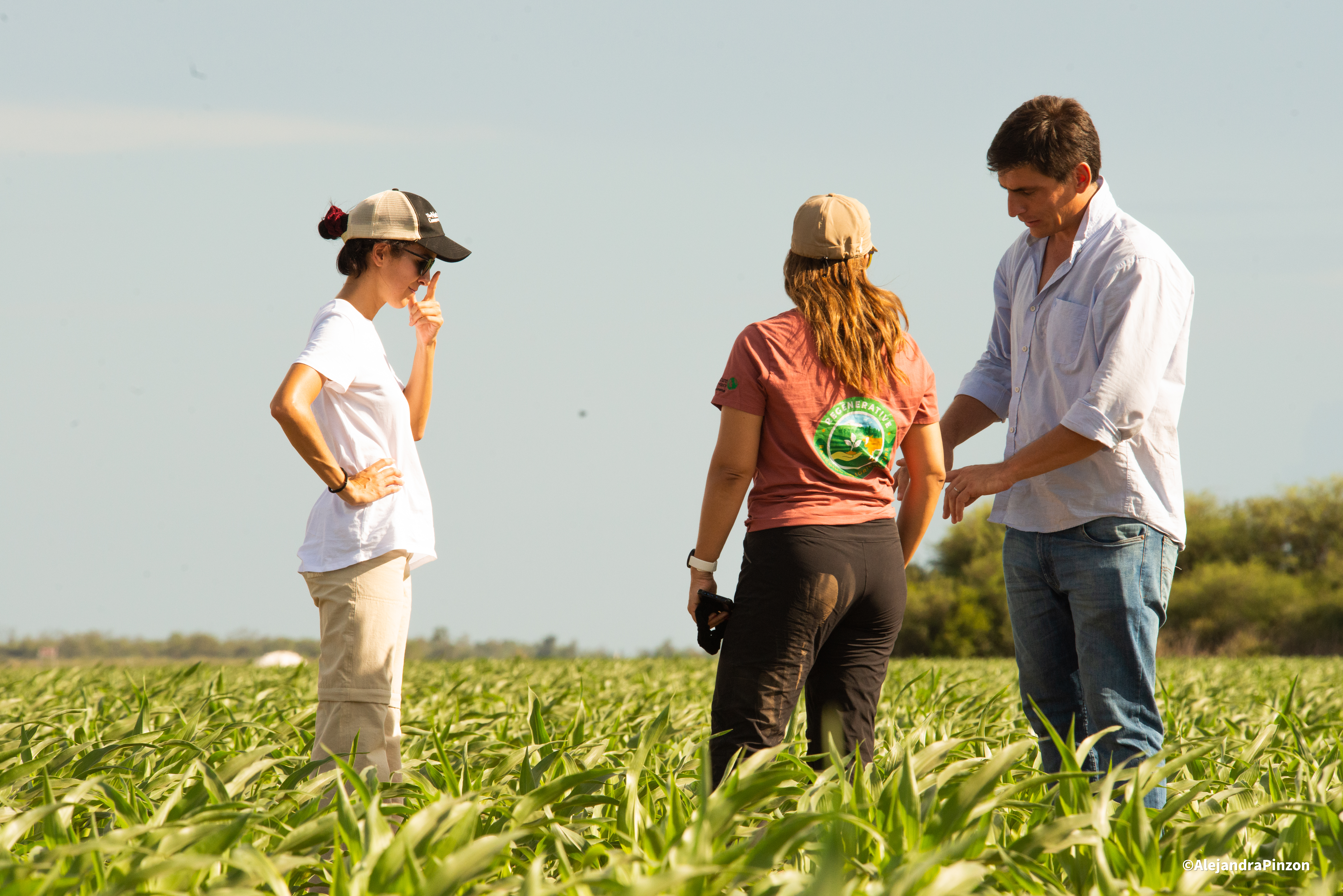 sistemas agropecuarios