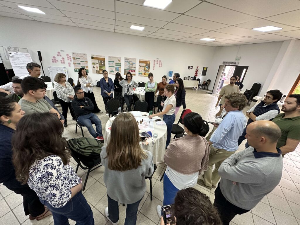 Participantes en encuentro sobre regeneración ambiental en Latinoamérica durante sesión grupal