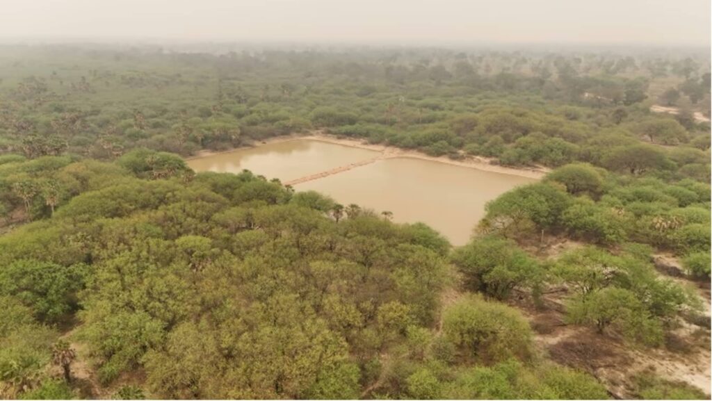 Territorio del Gran Chaco paraguayo mostrando efectos de la sequía en los ecosistemas
