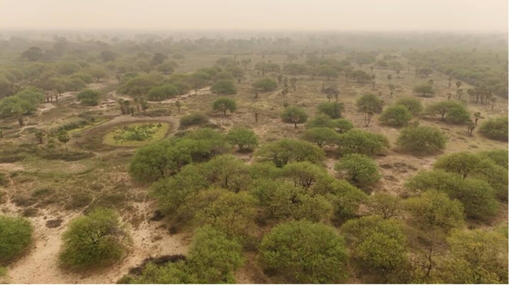Vista aérea del Gran Chaco paraguayo durante la sequía de septiembre de 2024