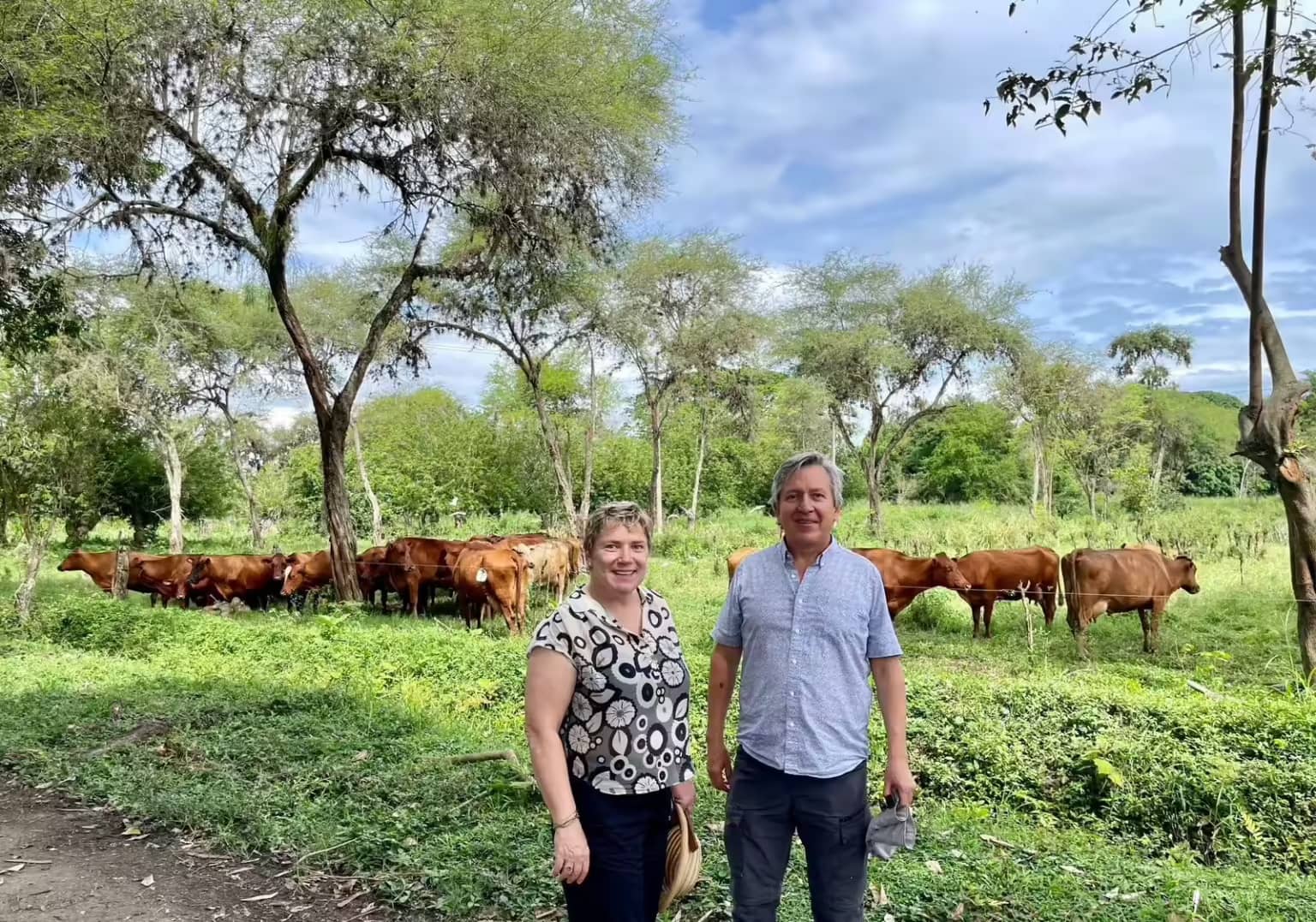 Sistema de ganadería regenerativa en la Reserva Natural El Hatico en entorno sostenible