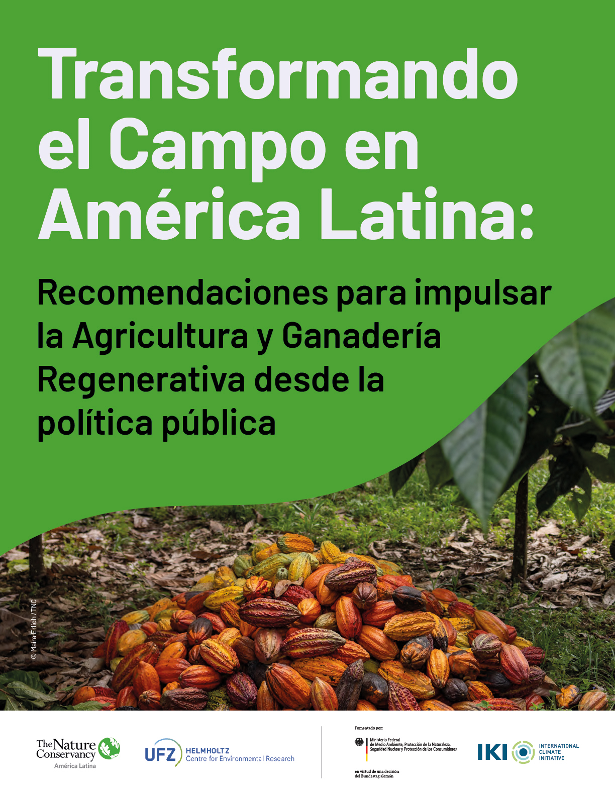 Portada del documento Transformando el campo en America Latina: recomendaciones para impulsar la agricultura y ganaderia regenerativa desde la politica publica