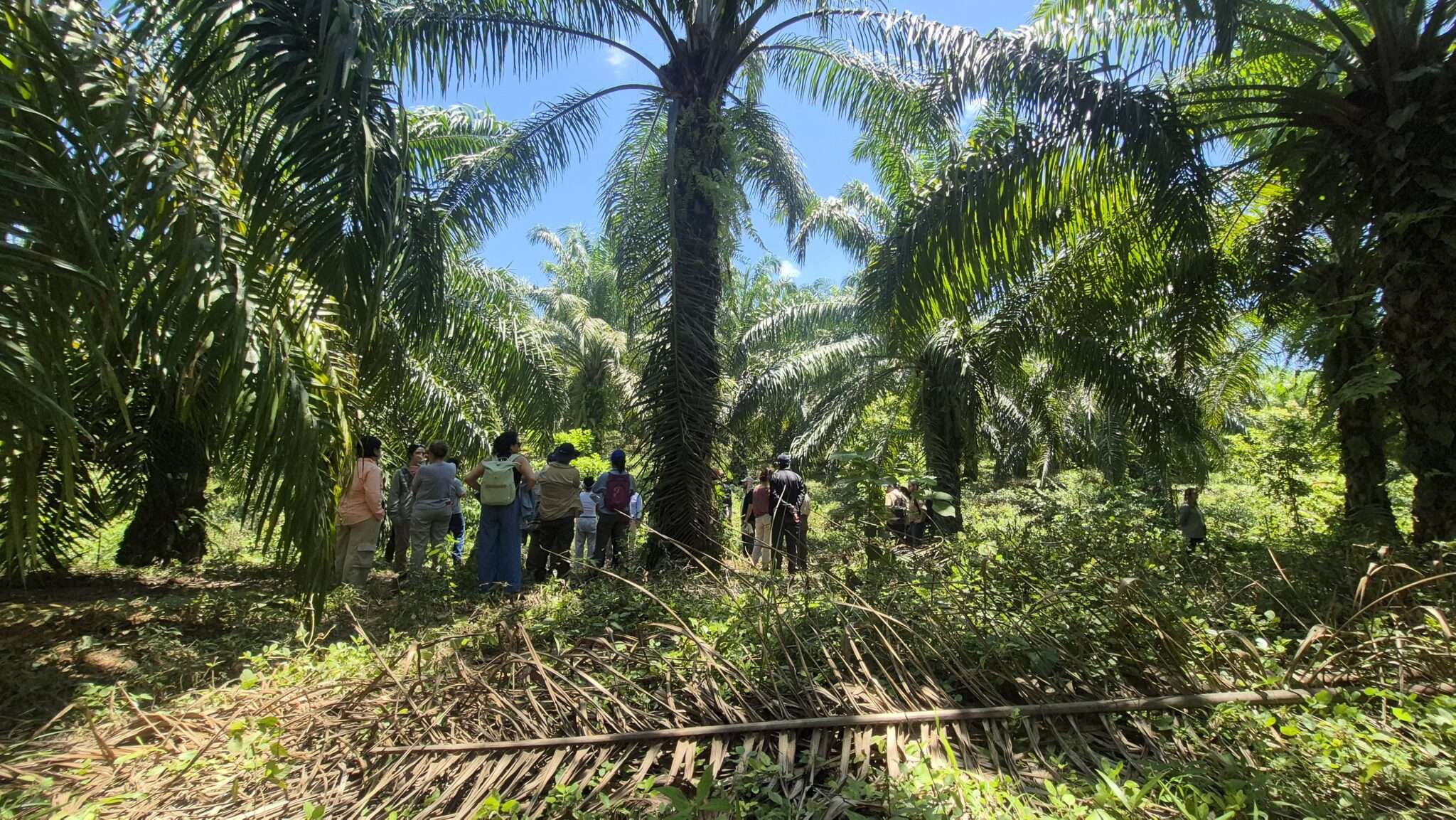 Recorrido por refinería de aceite de palma en contexto de producción sostenible en Latinoamérica