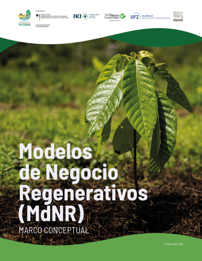 modelos de negocio regenerativos marco conceptual