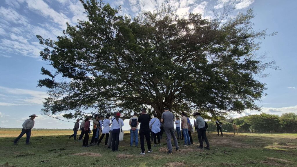 Paisaje de la Orinoquía colombiana en contexto de proyecto de regeneración ambiental
