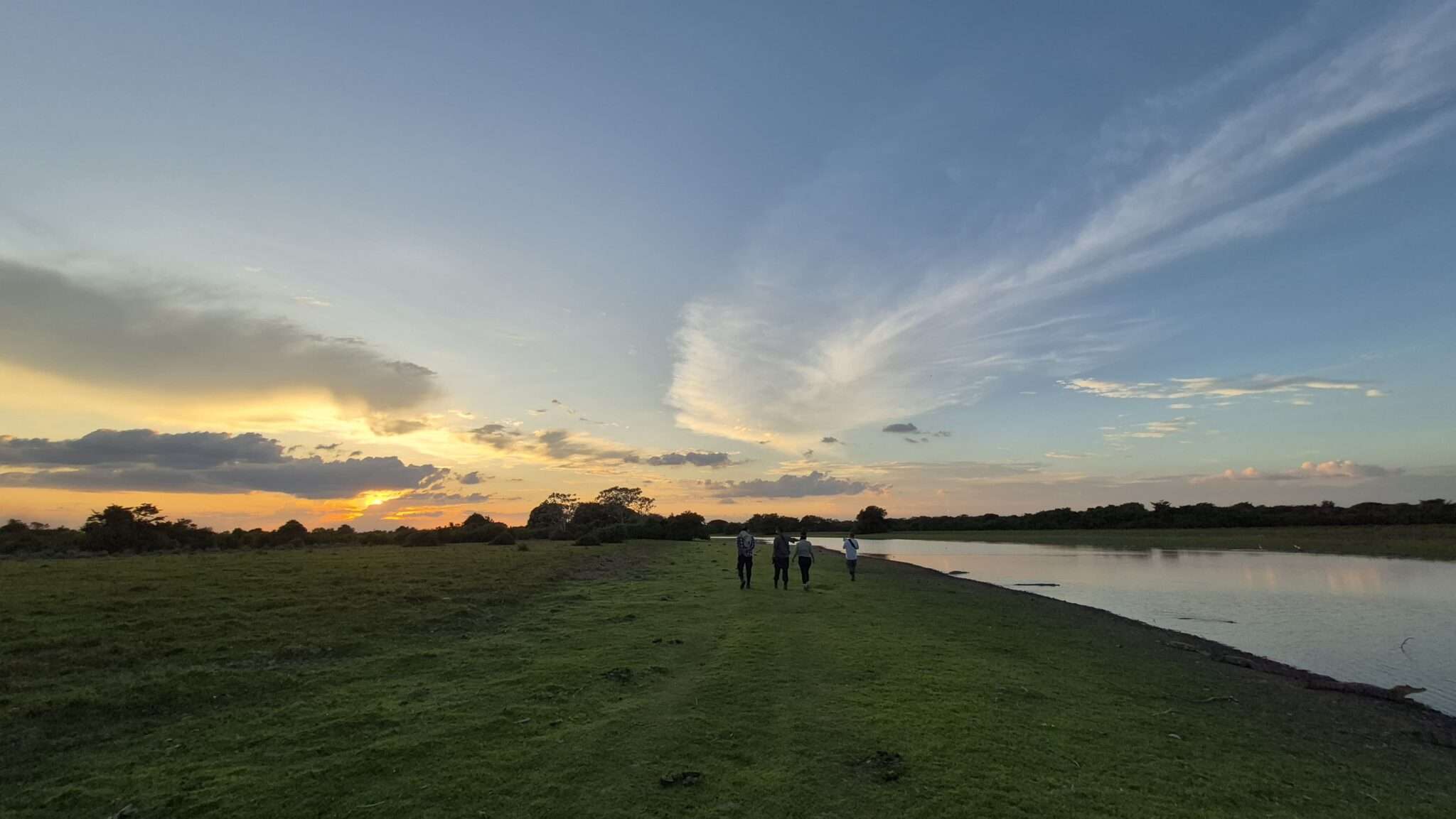 Equipo en visita de campo en la Orinoquía colombiana durante proyecto de regeneración ambiental