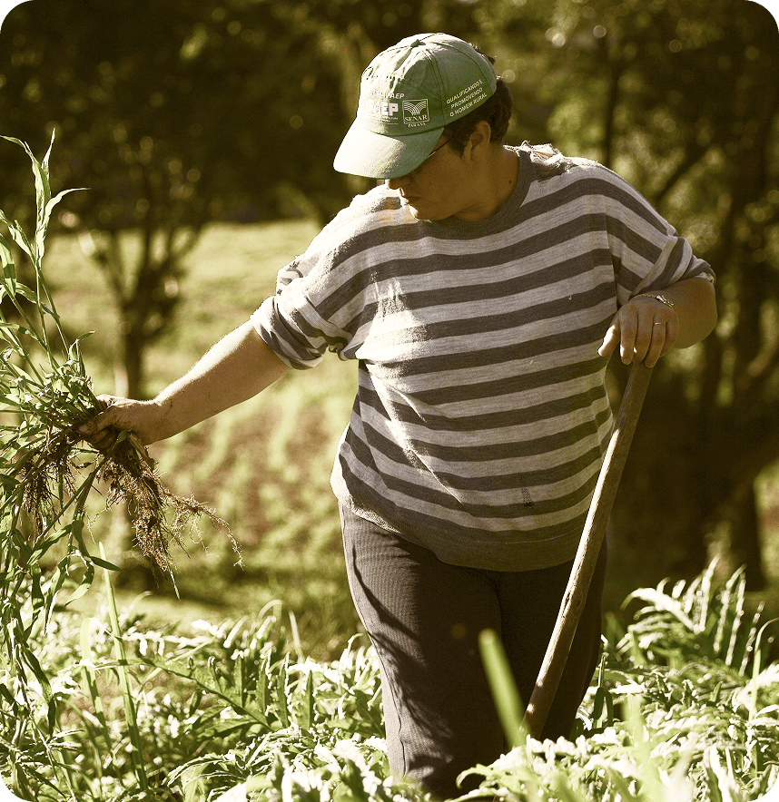 agricultora cosechando en huerta