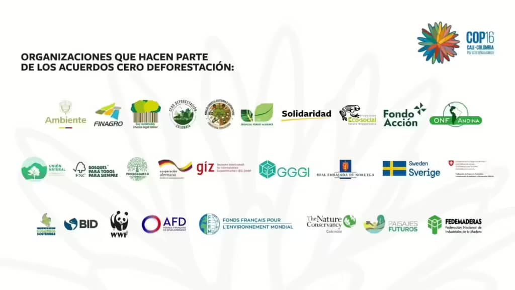 Organizaciones que hacen parte de los acuerdos cero deforestación