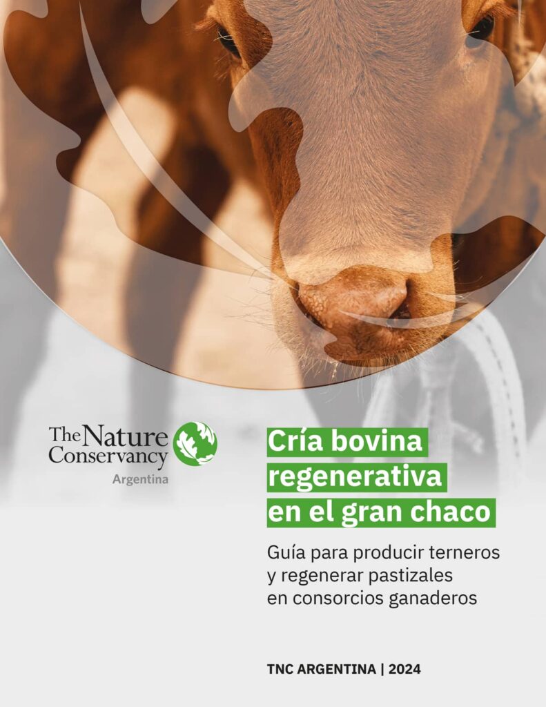 Documento cria bovina regenerativa en el gran chaco portada