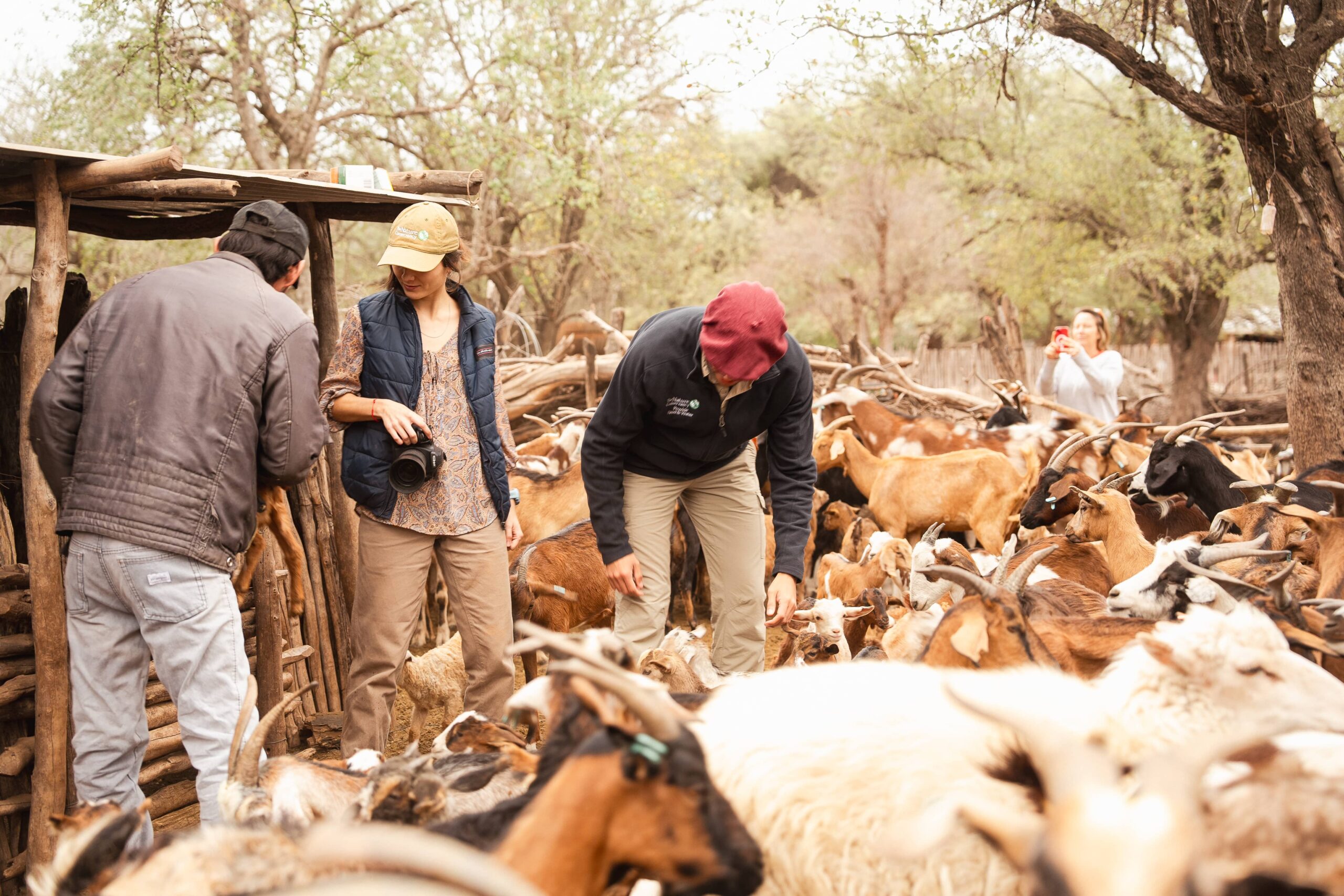 Un grupo de técnicos y productores agropecuarios conversan en un día soleado en medio de un campo de pastoreo en el Gran Chaco. Uno de ellos está agachado observando el suelo o la pastura mientras los demás escuchan atentos.