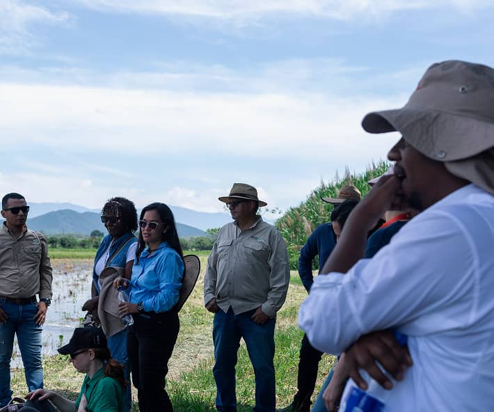 Un grupo de técnicos y productores agropecuarios conversan y comparten experiencias durante una jornada de campo de la comunidad Regeneradores, con montañas y cultivos de fondo.