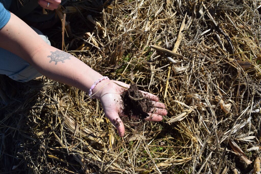 Primer plano de una mano sosteniendo un puñado de tierra fértil y oscura sobre una densa cobertura de rastrojo seco en la finca Los Tres Quebrachos. Ilustra la mejora de la materia orgánica del suelo y las prácticas de siembra directa en el Gran Chaco.