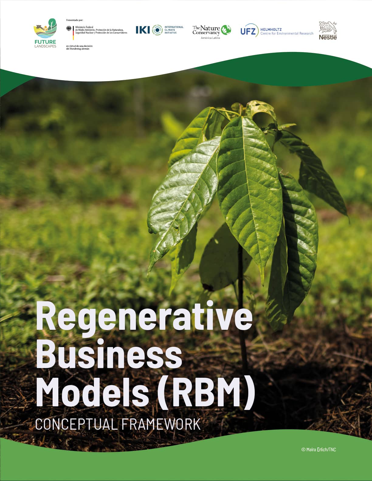 regenerative business models conceptual framework cover