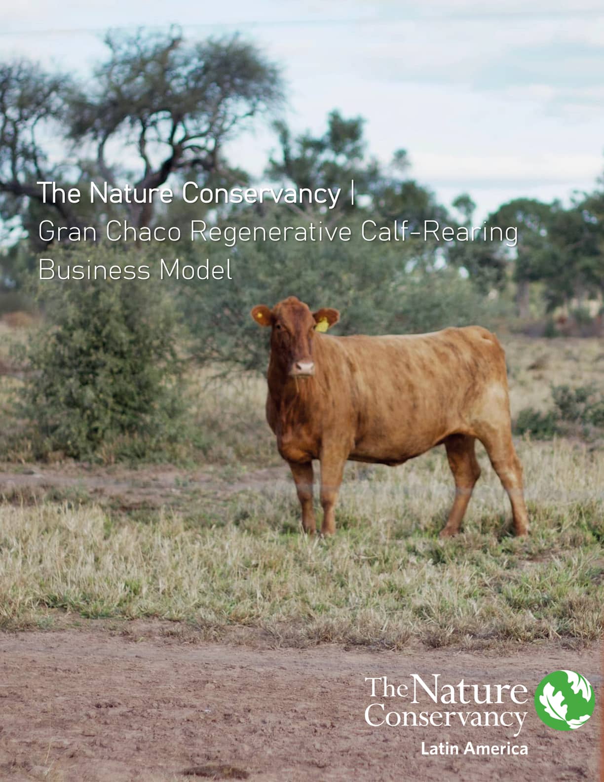 Document cover Regenerative calf Production Business Plan - Argentinian Chaco