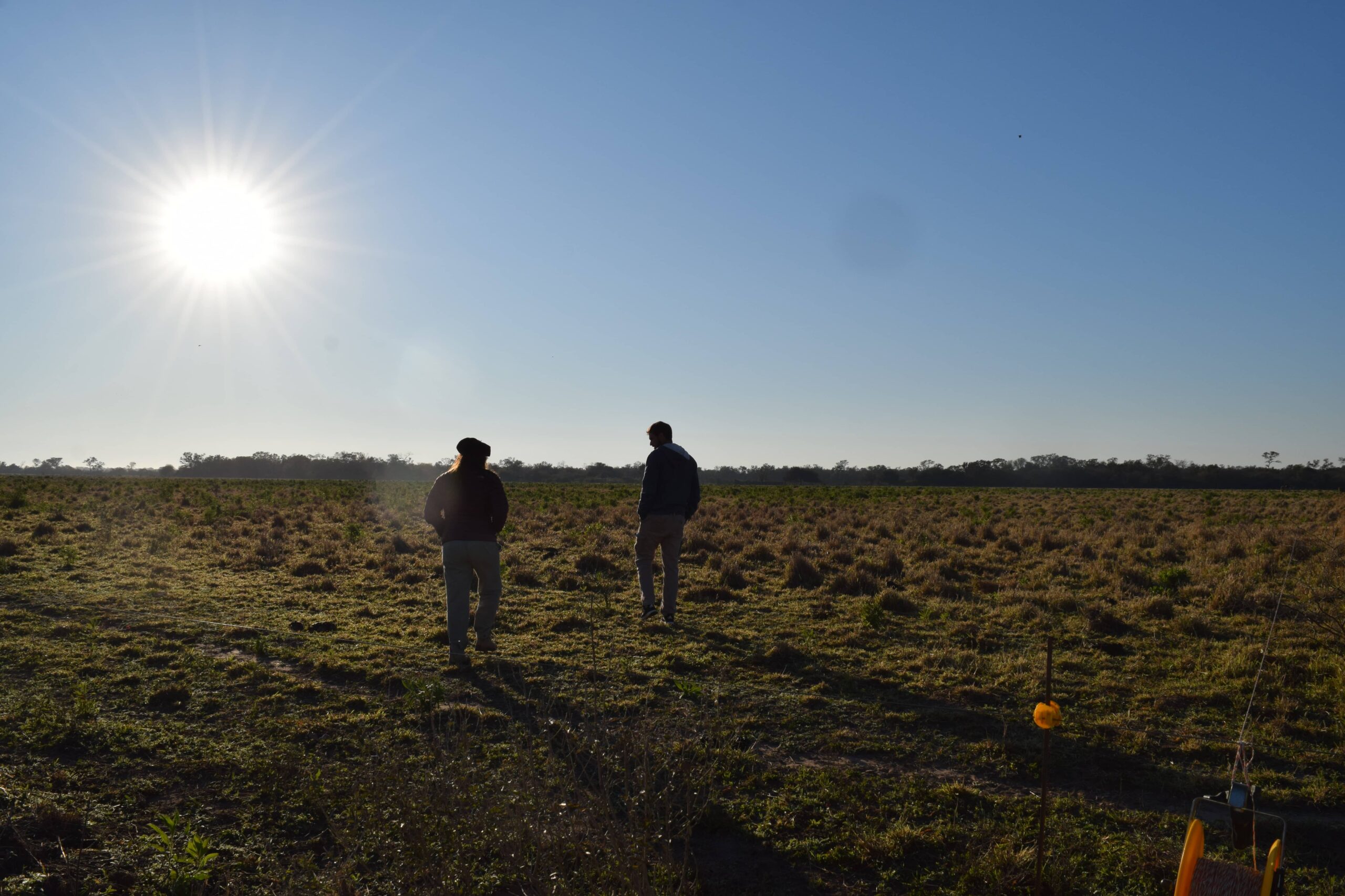 Vista a contraluz de dos personas caminando por un lote ganadero de la finca Los Tres Quebrachos bajo un sol radiante e intenso. La imagen ilustra las condiciones de calor extremo del Gran Chaco argentino y las estrategias adaptativas frente al clima.