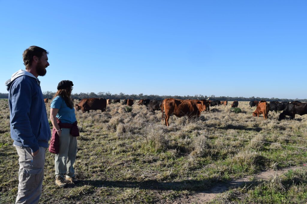 Fotografía de perfil de dos productores ganaderos observando un hato de vacas de pelaje café y negro pastando en un lote delimitado por un hilo de boyero o alambrado eléctrico móvil en la finca Los Tres Quebrachos, en el Gran Chaco argentino.