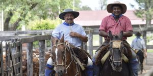 Dos hombres montados a caballo sonríen a la cámara en un corral de madera, representando a los productores locales beneficiarios del modelo de asistencia técnica para ganadería regenerativa en el Gran Chaco.