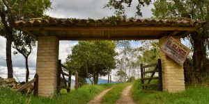 Fotografía del portón de entrada rústico de la Reserva Natural El Silencio en San Francisco, Cundinamarca. Se observa una estructura con columnas de ladrillo claro, techo de tejas cubierto de vegetación y un letrero de madera que dice 'Reserva Natural El Silencio - Conservemos el bosque andino de niebla', enmarcado por un paisaje verde de montaña.